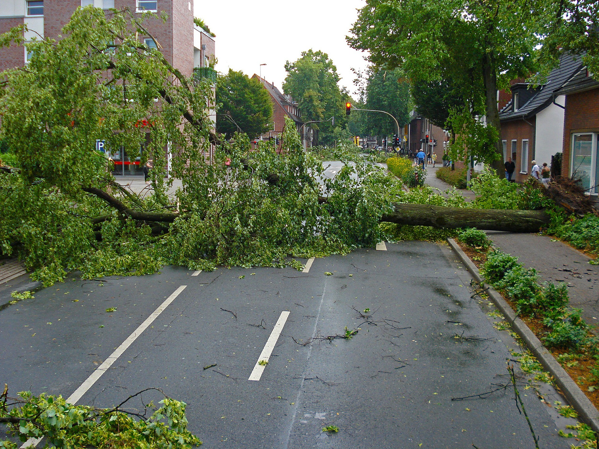 Sturmschäden: Baum abgeknickt